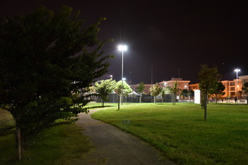 Night Illuminated park by Night in the City