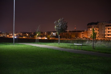 Night Illuminated Park by Night with Path