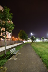 Park by Night with Bench Illuminated by Lamps