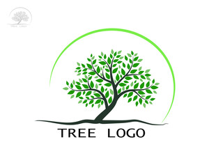 Obraz premium tree with green leaves