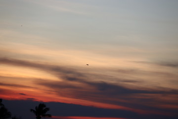 Tropical Palm Trees Silhouette Sunset or Sunrise .Mountain valley during sunrise.