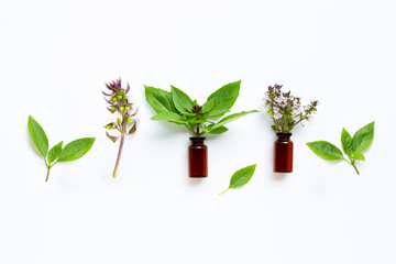 Essential oil bottle glass with  sweet basil leaves and flower on white