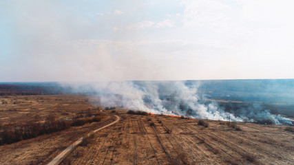 Forest and field fire. Dry grass burns, natural disaster. Aerial view.