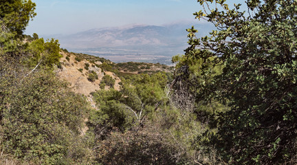 Fototapeta na wymiar a hazy view of mount hermon in the golan heights from the reforested kedesh nature preserve in the upper galilii with hills, and trees in the foreground