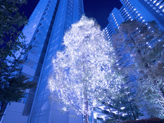 マンション街のクリスマスイルミネーション