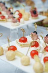 Catering and guest meals during the event. Quick mini snacks in a special beautiful dish.