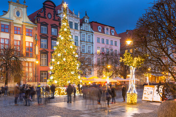 Long Lane in Gdansk with beautiful Christmas tree at dusk, Poland
