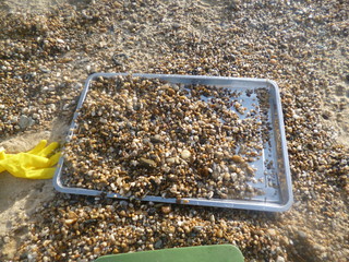 The sea prospect on the Olkhon island, lake Baikal.