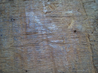 Top view of old natural wood texture background.