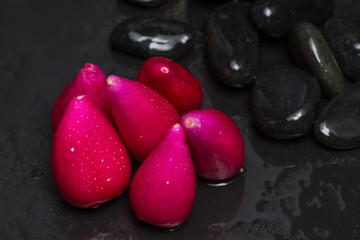 Close up Pink  Acid Pitigüey Tropical Fruit on Black Background