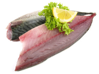 Mackerel Fillets - Raw Mackerel Fish on white Background