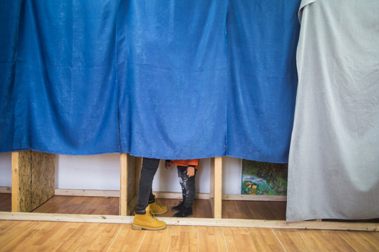 Persons voting in booths at a polling station