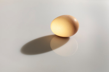 Egg 