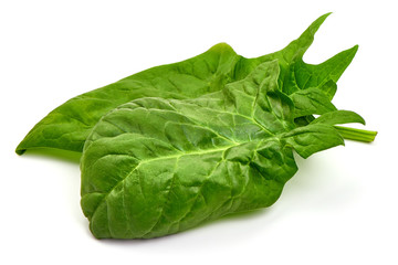 Fototapeta premium Fresh leaves of spinach, isolated on white background