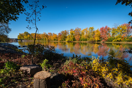 Autumn Colors