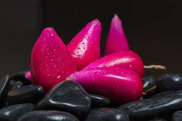 Close up Pink  Acid Pitigüey Tropical Fruit on Black Background