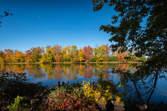 Autumn Colors