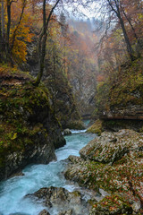 Fototapeta na wymiar Vintgar gorge in Slovenia