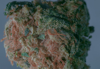 Cannabis Flower © BlackStudio