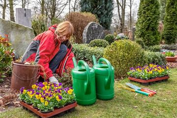Planting Pansies on a Grave in Spring