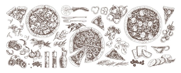 Pizza and ingredients monochrome set. Pepperoni, pizza with mushrooms and seafood hand drawn vector illustrations collection. Shrimp, garlic, chanterelles, cherry tomatoes and broccoli. - obrazy, fototapety, plakaty
