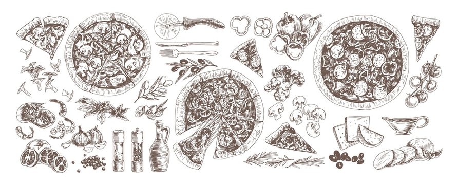 Pizza and ingredients monochrome set. Pepperoni, pizza with mushrooms and seafood hand drawn vector illustrations collection. Shrimp, garlic, chanterelles, cherry tomatoes and broccoli.