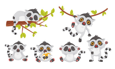 Cute Lemur Cartoon Character Collection, Sweet Exotic Animal in Different Situations Vector Illustration