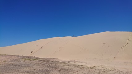 Fototapeta na wymiar dunes in desert