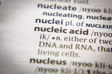 Word or phrase Nucleic acid in a dictionary.