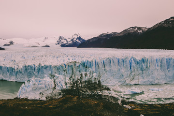 Patagonia. Perito Moreno Glacier. (Parque nacional de los Glaciares)
