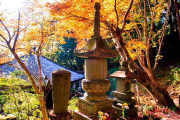 1 673 Maple Leaf Lamp Wall Murals Canvas Prints Stickers Wallsheaven