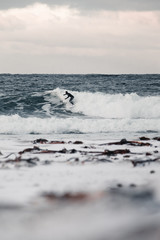 arctic surfing. surf. lofoten. uttakleiv beach. norway. surfing.