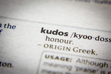 Word or phrase Kudos in a dictionary.