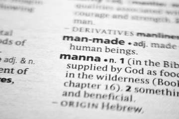 Word or phrase Manna in a dictionary. - 308693598