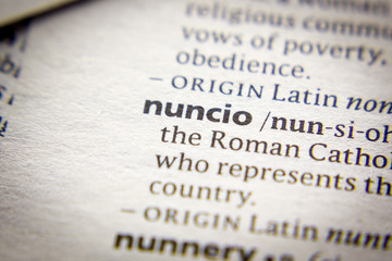 Word or phrase Nuncio in a dictionary.