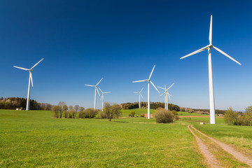 Fototapeta premium wind turbines in green field