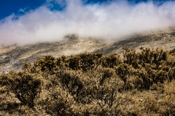 Landscape in the Sannine mountain region in Lebanon