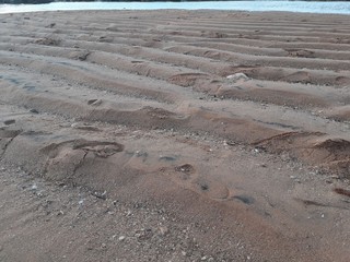 footprints in the sand