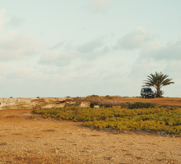 Image of SUV car under palm tree in the desert.