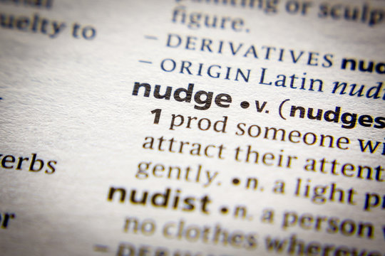 Word or phrase Nudge in a dictionary.