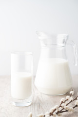 A glass and a jug of milk with pussy willow on a wooden table on white background