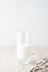 A glass of milk with pussy willow on white napkin on wooden table. High key