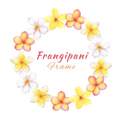 Hand drawn watercolor plumeria(frangipani) wreath isolated on white background.