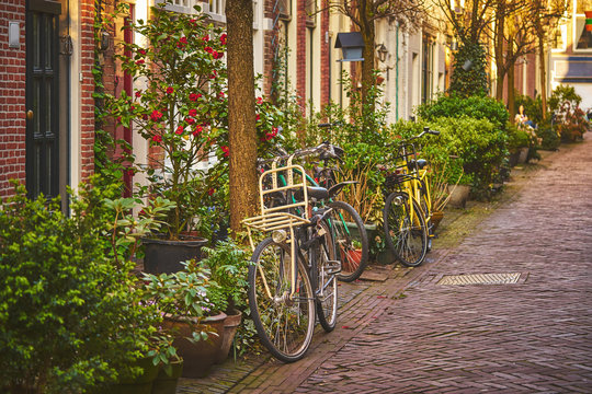 Cozy dutch street with a bike parked near the house
