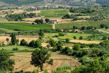 Fototapeta na wymiar Summer landscape in Calabria, Italy, near Castrovillari