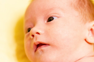 Portrait of adorable smiling newborn baby