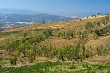 Fototapeta na wymiar Summer landscape in Calabria, Italy, near Castrovillari