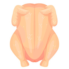 Raw chicken carcass flat vector color illustration