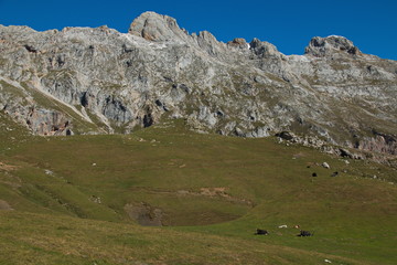 Fototapeta na wymiar Panoramic view of Picos de Europa from the trail Puertos de Aliva in Cantabria,Spain,Europe