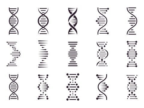 Spiral DNA icon. DNA molecule helix spiral structure, medical science chromosome concept, biology genetic symbols isolated vector icons set. Biochemistry. Deoxyribonucleic acid chain. Genetic code